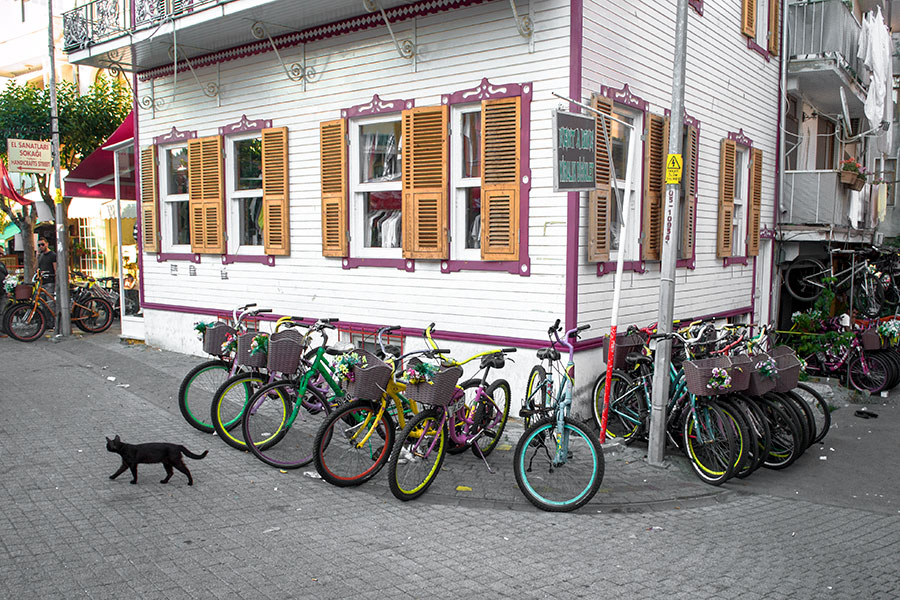 Ein Tag auf den Prinzeninseln (Adalar)